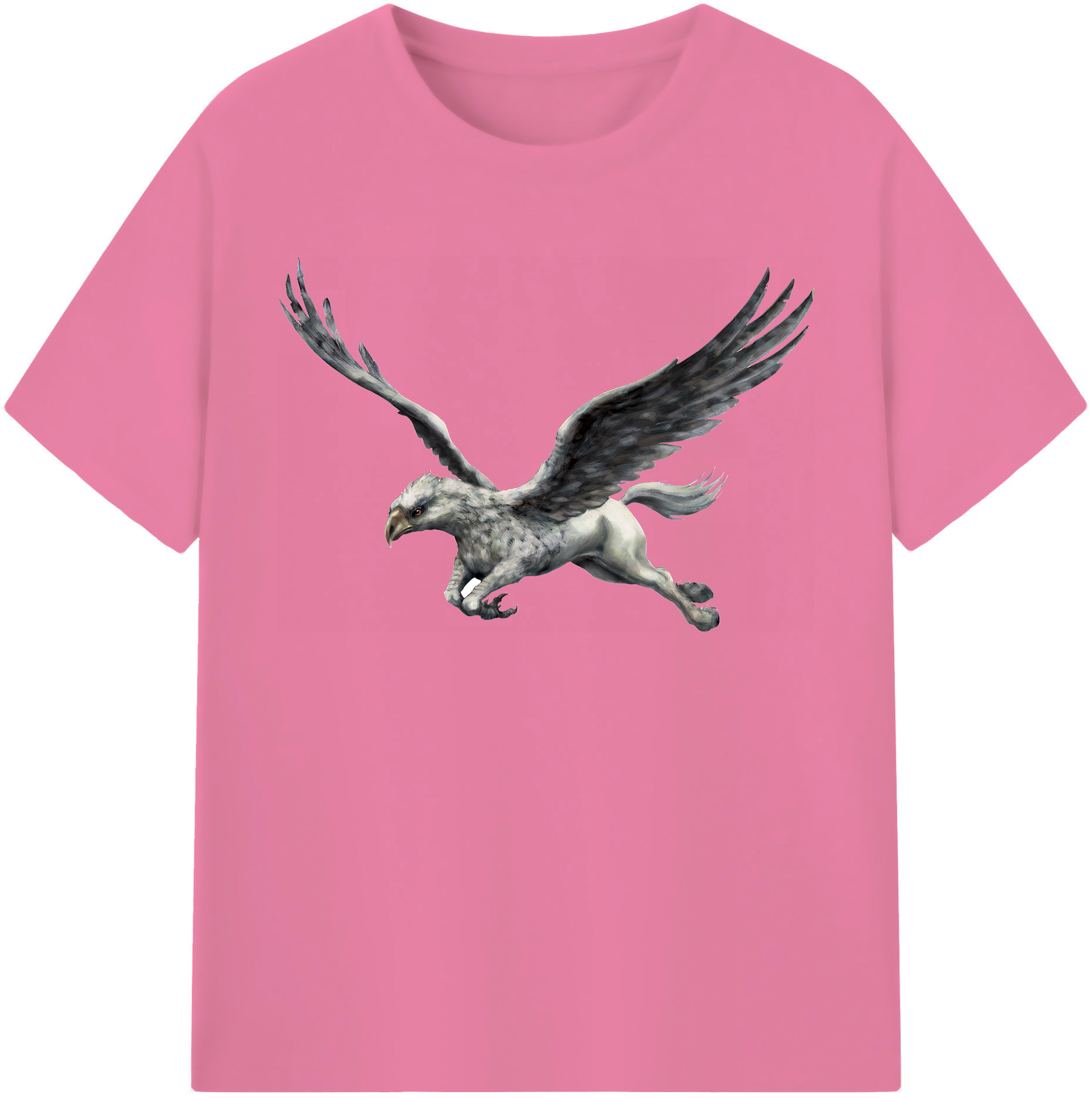 （画像用） Harry Potter ハリー・ポッターシリーズ 綿100％半袖Tシャツ（フロントプリント）